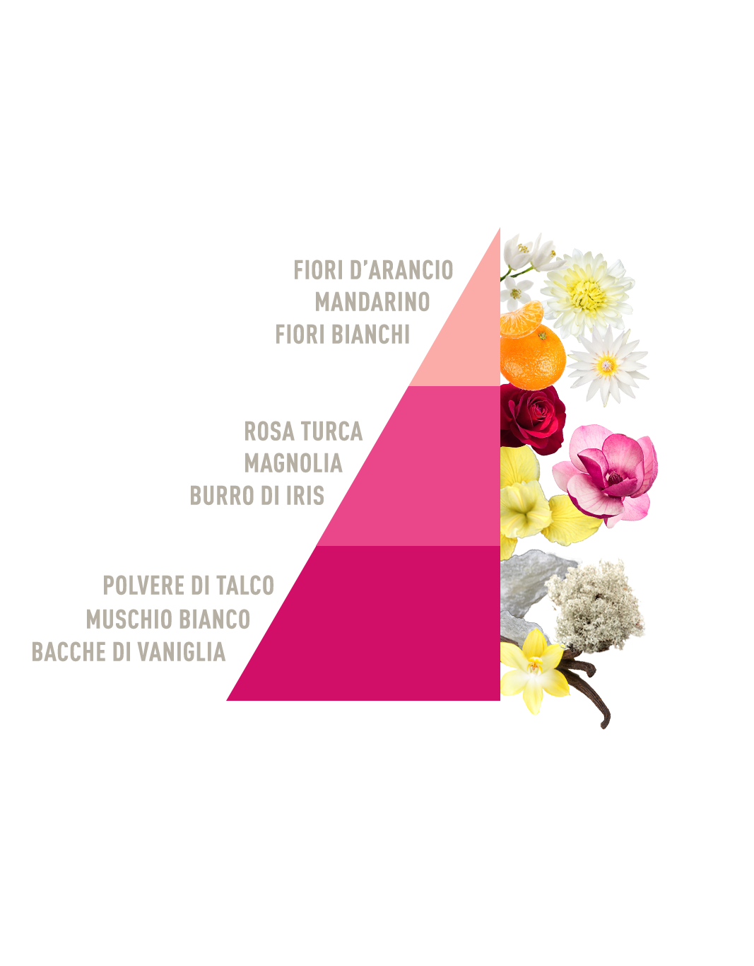 Laundry Perfume Green Talco e magnolia bio 400ml